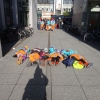 dsc07448.jpg