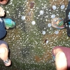dsc07698.jpg