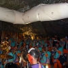 dsc07722.jpg