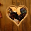 dsc00037.jpg