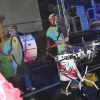dsc08768.jpg