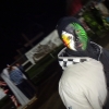 dsc00680.jpg