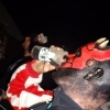 dsc00909.jpg
